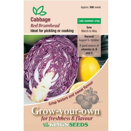 Cabbage Red Drumhead