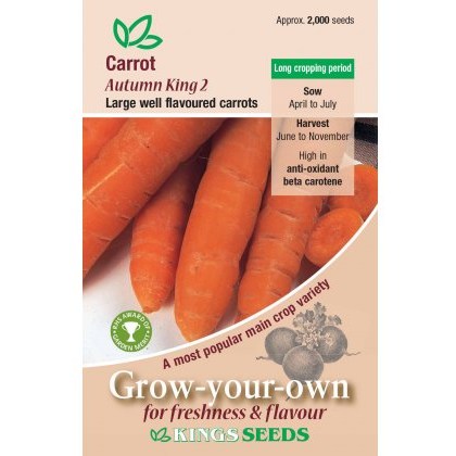 Carrot Autumn King 2