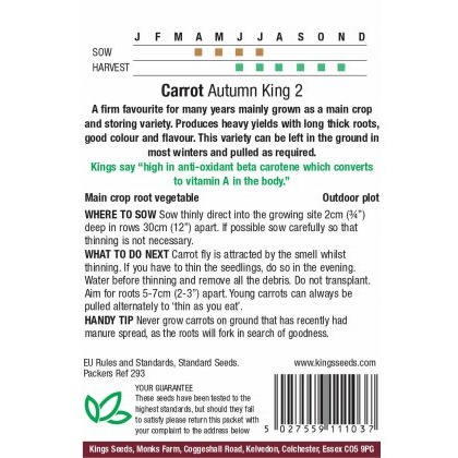 Carrot Autumn King 2