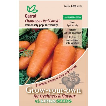 Carrot Chantenay Red Cored 3