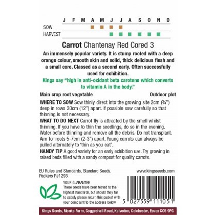 Carrot Chantenay Red Cored 3