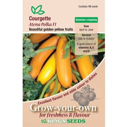 Courgette Atena Polka F1