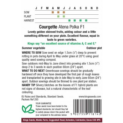 Courgette Atena Polka F1