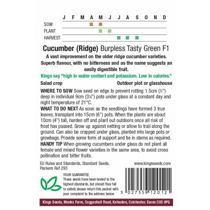 Cucumber Burpless Tasty Green F1