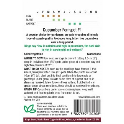Cucumber Femspot F1
