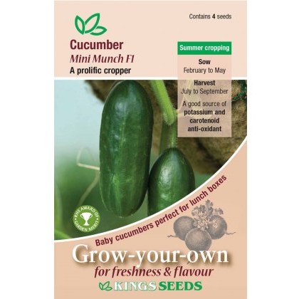 Cucumber Mini Munch F1