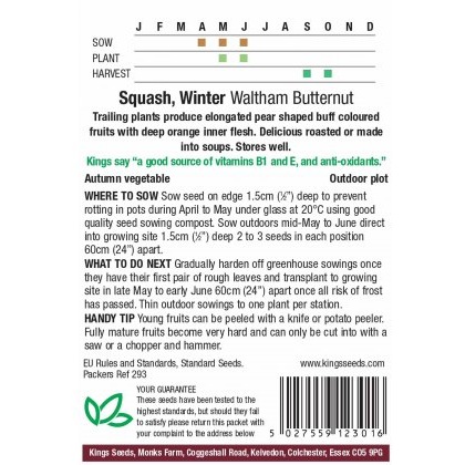Squash Winter Butternut Waltham Butternut