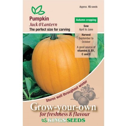 Pumpkin Jack O Lantern