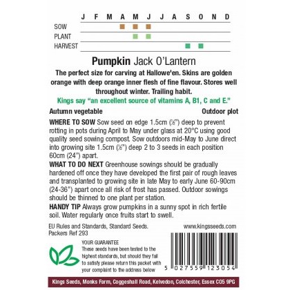 Pumpkin Jack O Lantern