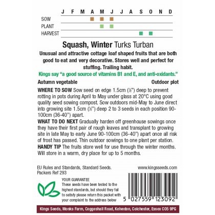 Squash Winter Turks Turban