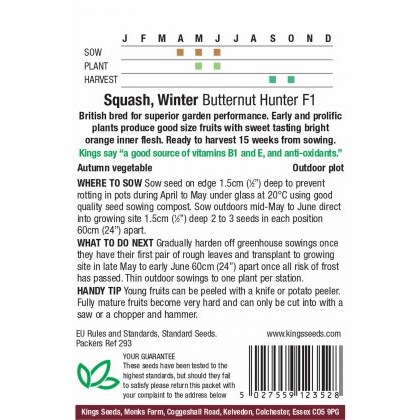 Squash Winter Butternut Hunter F1