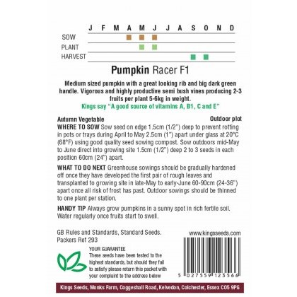 Pumpkin Racer F1