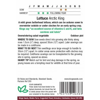 Lettuce Arctic King