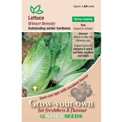 Lettuce Winter Density (Semi-cos type)