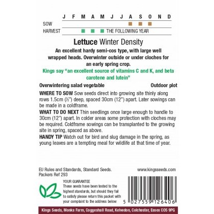 Lettuce Winter Density (Semi-cos type)