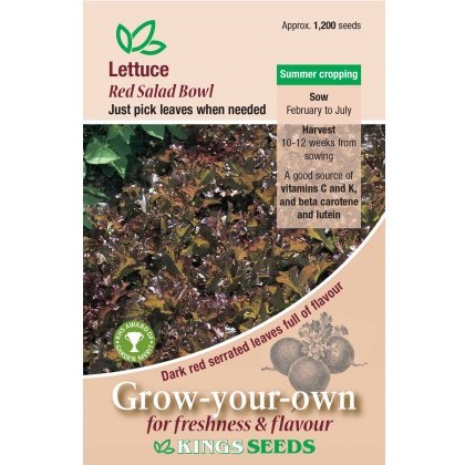Lettuce Red Salad Bowl