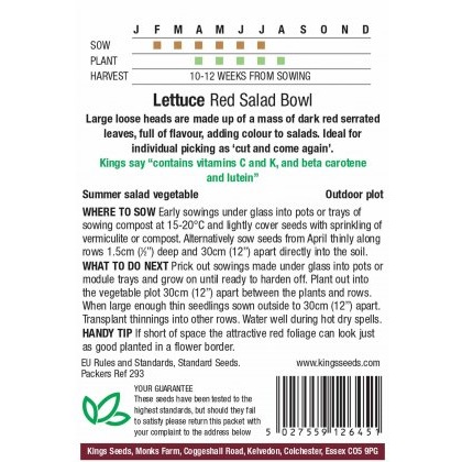 Lettuce Red Salad Bowl