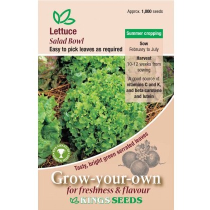 Lettuce Salad Bowl
