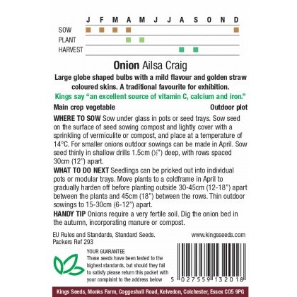 Onion Ailsa Graig