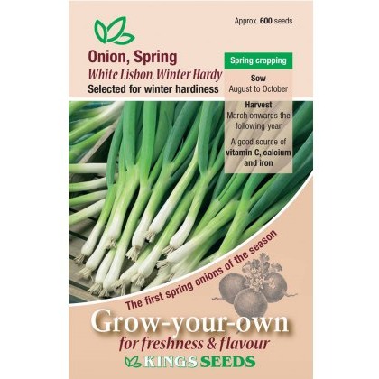 Onion Spring White Lisbon (Winter Hardy)