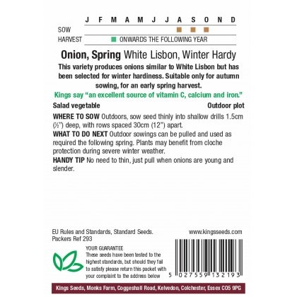 Onion Spring White Lisbon (Winter Hardy)