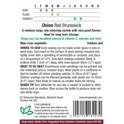 Onion Red Brunswick