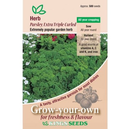 Herb Parsley Extra Triple Curled