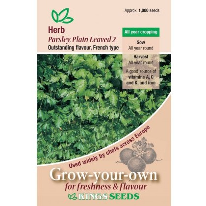 Herb Parsley Plain Leaved 2 (French)