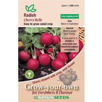 Radish Cherry Belle