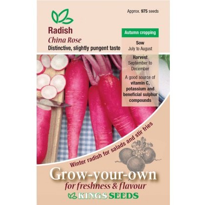 Radish China Rose