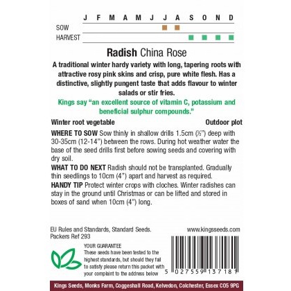 Radish China Rose