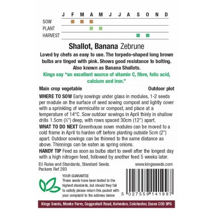 Shallot Zebrune