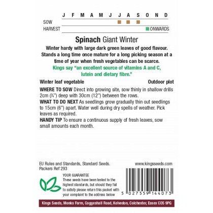 Spinach Giant Winter