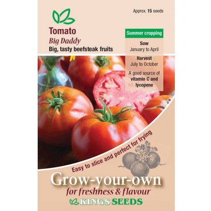 Tomato Big Daddy