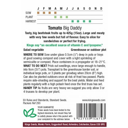 Tomato Big Daddy