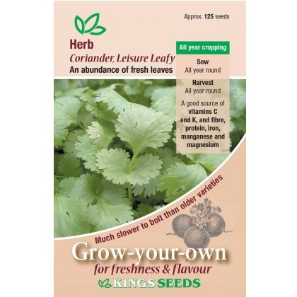 Coriander Leisure Leafy