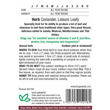 Coriander Leisure Leafy