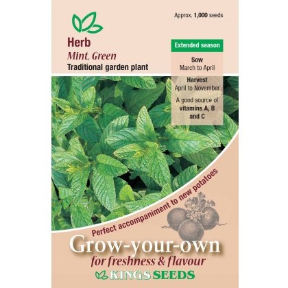 Herb Mint Green