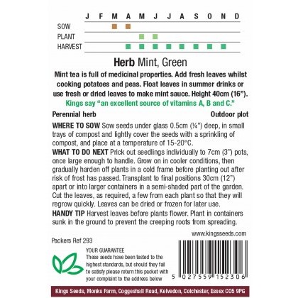 Herb Mint Green