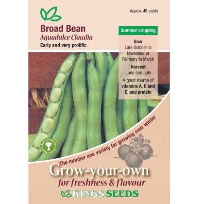 Broad Bean Aquadulce Claudia