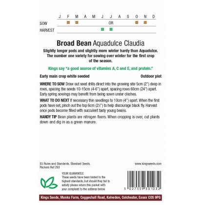 Broad Bean Aquadulce Claudia