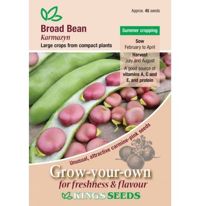 Broad Bean Karmazyn