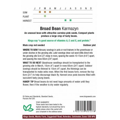 Broad Bean Karmazyn