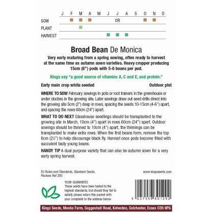 Broad Bean De Monica