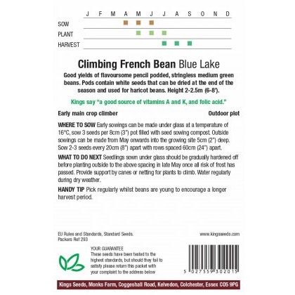Climbing French Bean Blue Lake