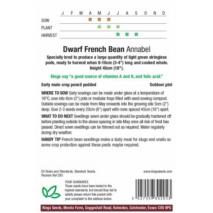 Dwarf French Bean Annabel