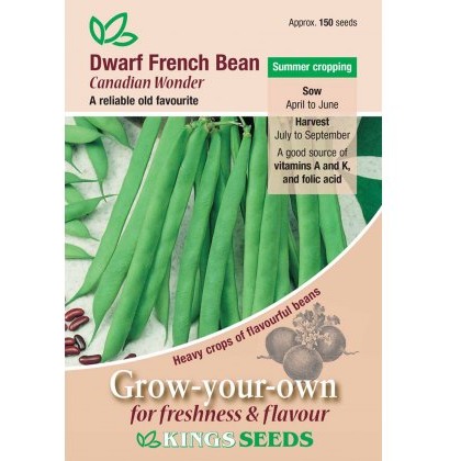 Dwarf French Bean Canadian Wonder
