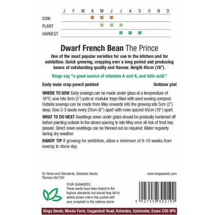 Dwarf French Bean The Prince