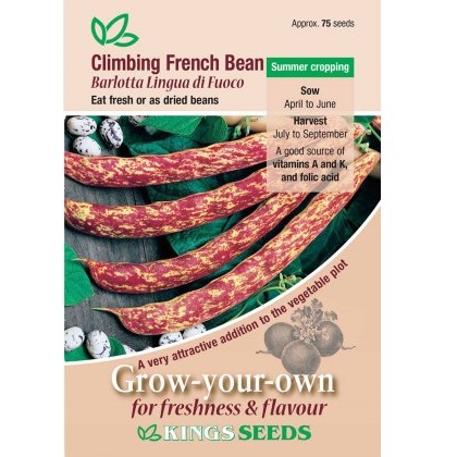 Climbing French Bean Barlotta Di Fuoco