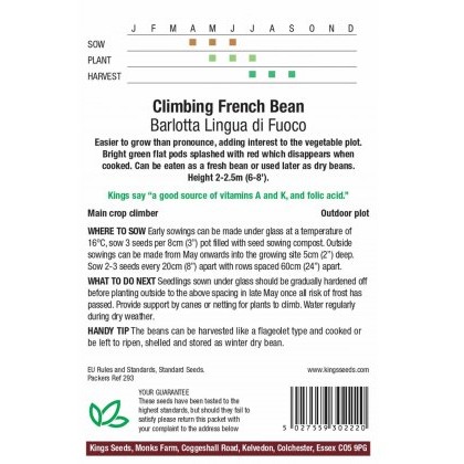 Climbing French Bean Barlotta Di Fuoco